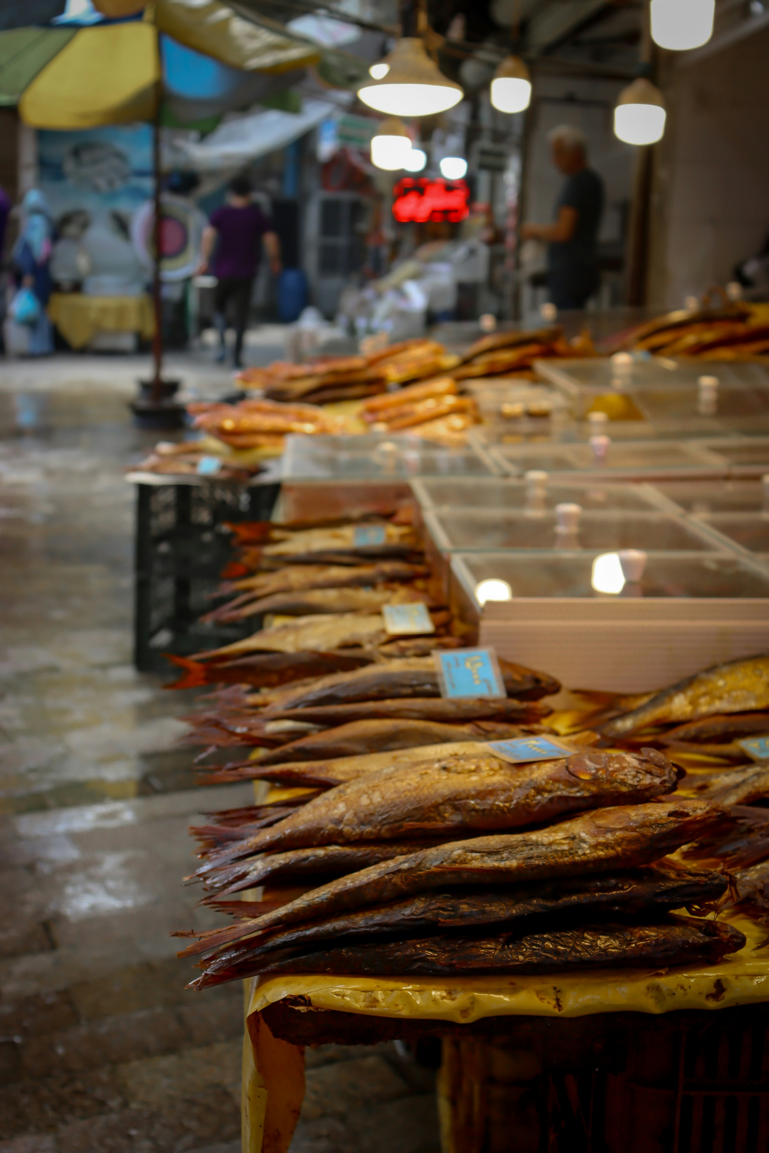 Premium fresh seafood market display with warm lighting